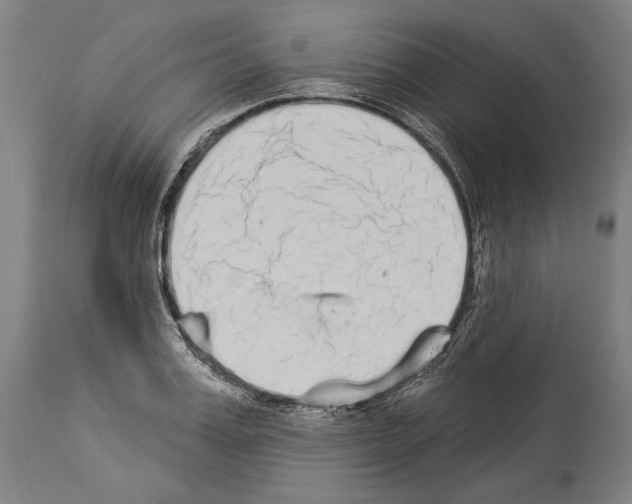 X0000113980987200911131051