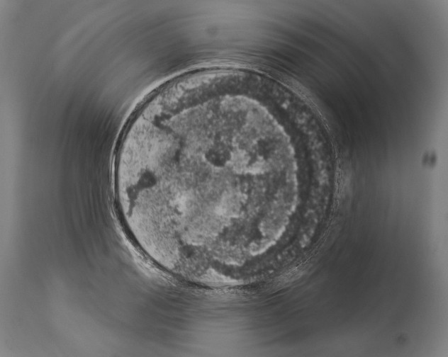 X0000113980988200911131051