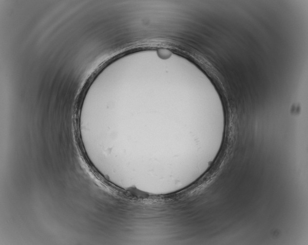 X0000113980989200911131051