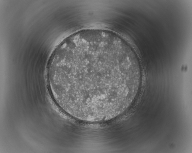 X0000113980990200911131051