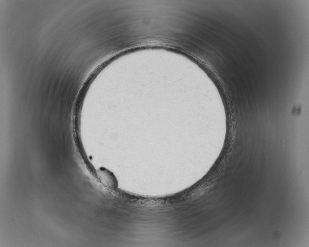 X0000113980991200911131051