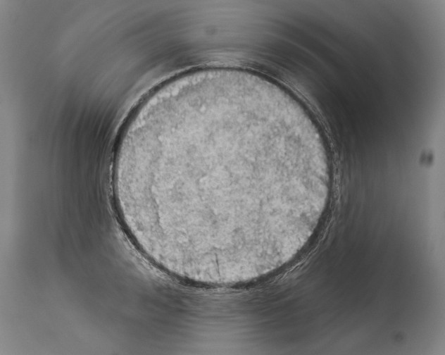 X0000113980992200911131051