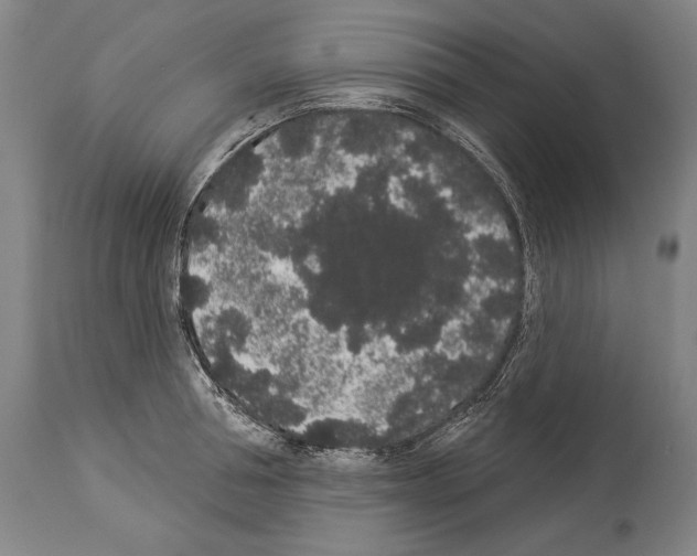 X0000113980994200911131051