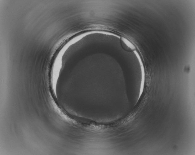 X0000113980995200911131051