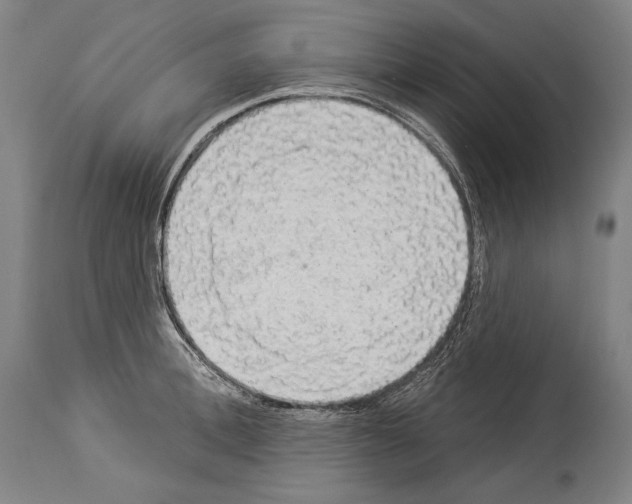 X0000113980996200911131051