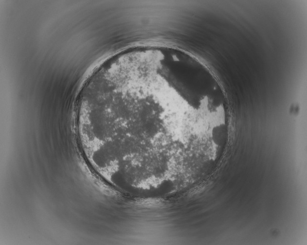 X0000113980998200911131051
