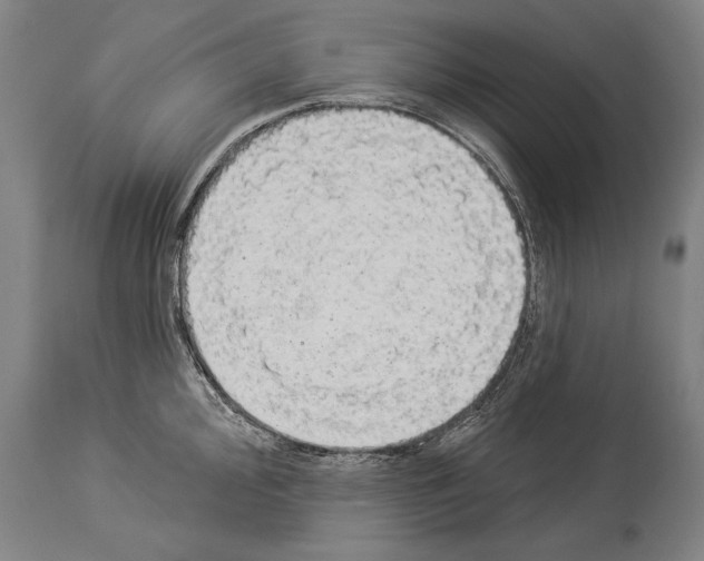 X0000113981000200911131051