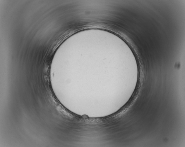 X0000113981001200911131051