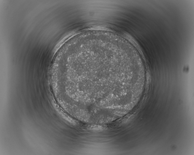 X0000113981002200911131051