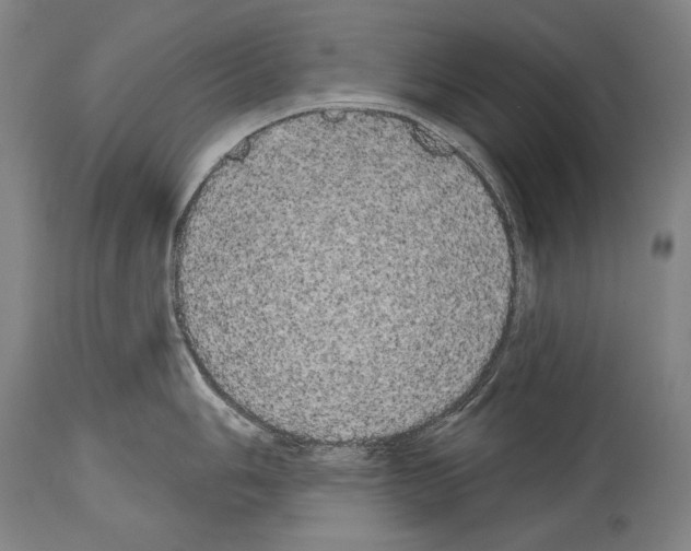 X0000113981006200911131051