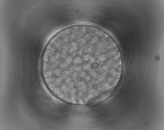 X0000113981007200911131051