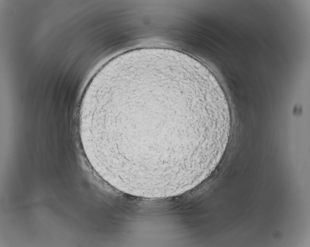 X0000113981008200911131051