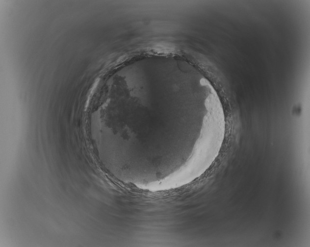 X0000113981009200911131050