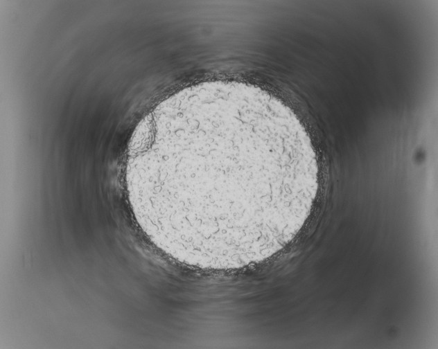 X0000113981010200911131050