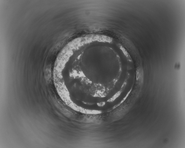 X0000113981011200911131050