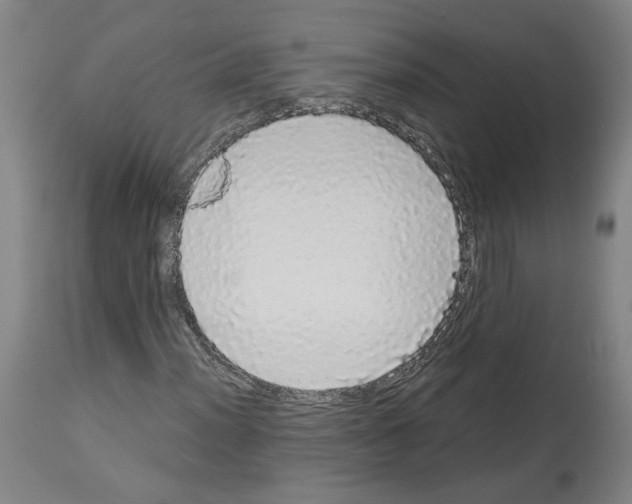 X0000113981012200911131050