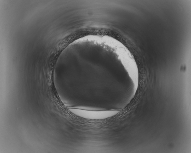 X0000113981013200911131050