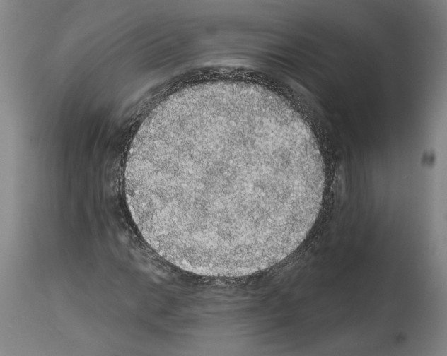 X0000113981014200911131050