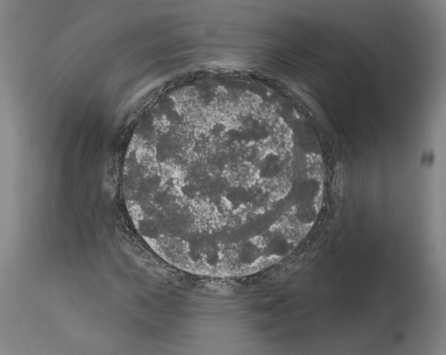 X0000113981015200911131050