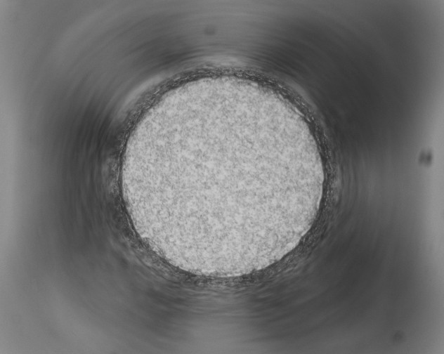 X0000113981016200911131050