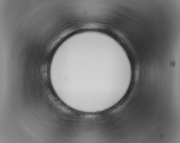 X0000113981017200911131050