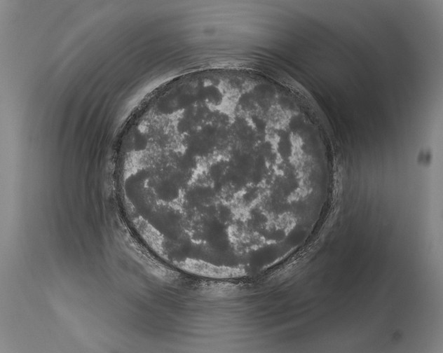 X0000113981019200911131050
