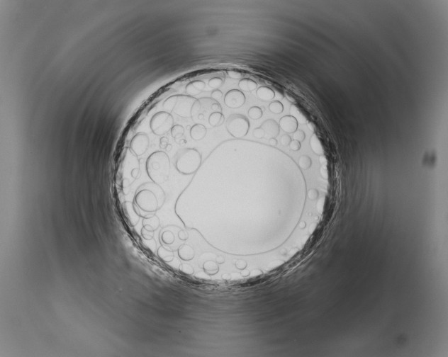 X0000113981020200911131050