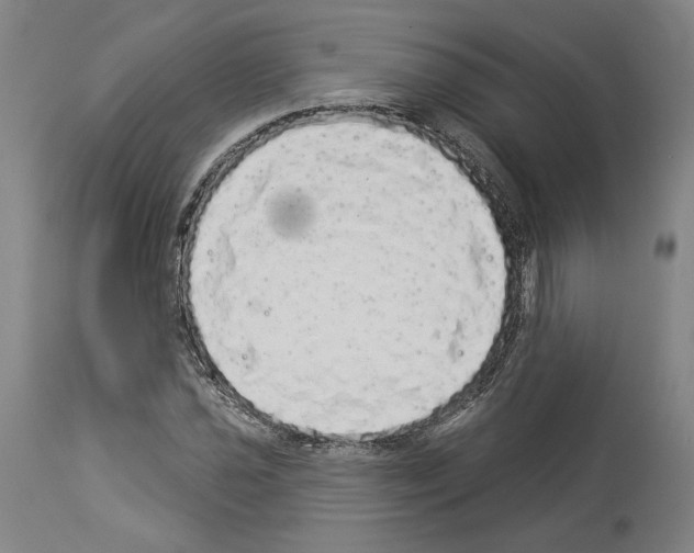 X0000113981021200911131050
