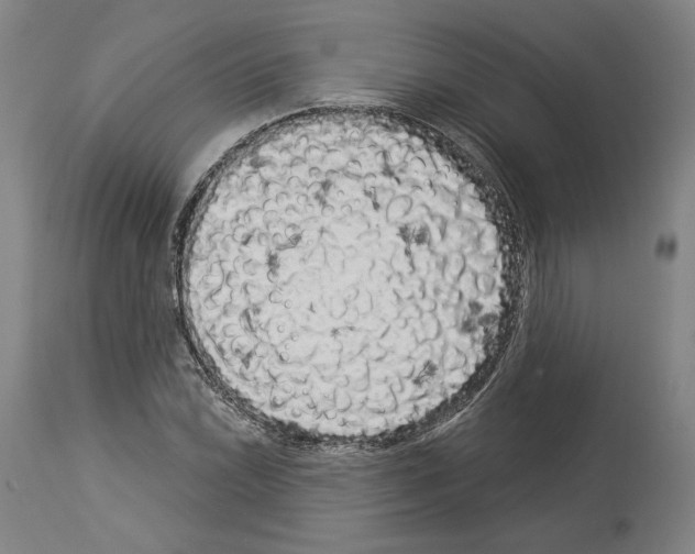 X0000113981022200911131050