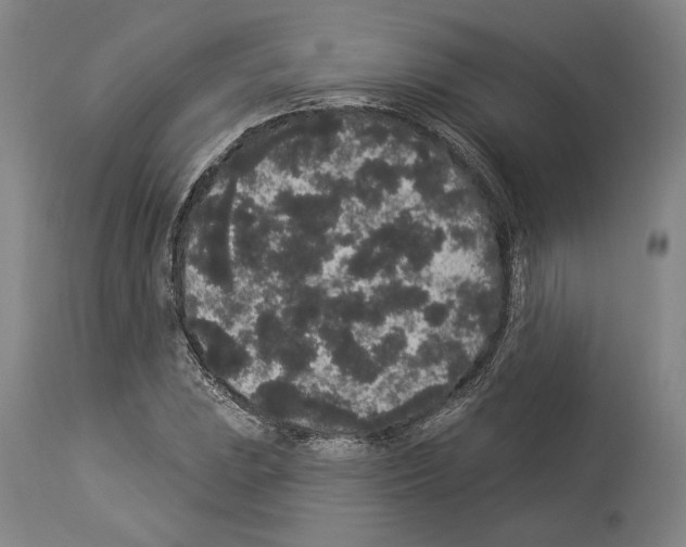 X0000113981023200911131050
