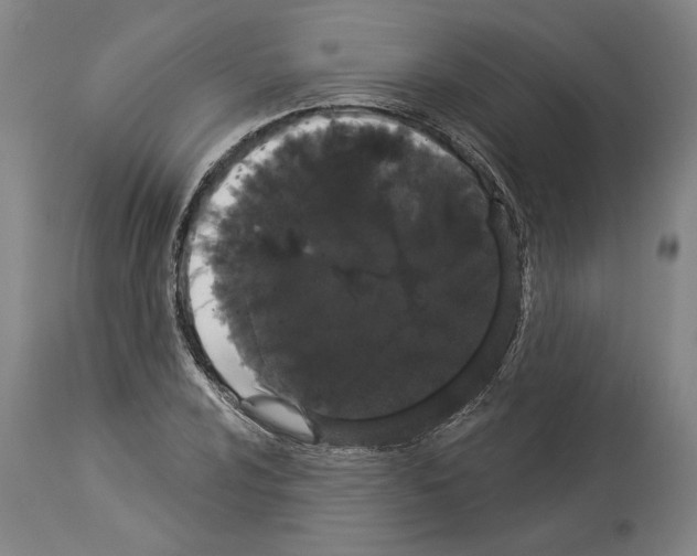 X0000113981024200911131050