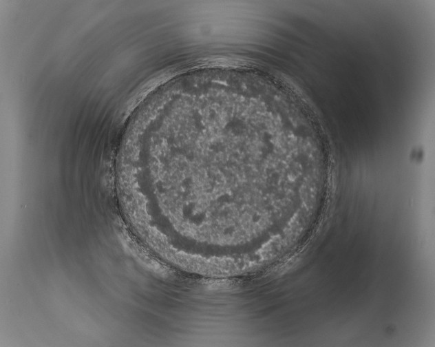 X0000113981025200911131050