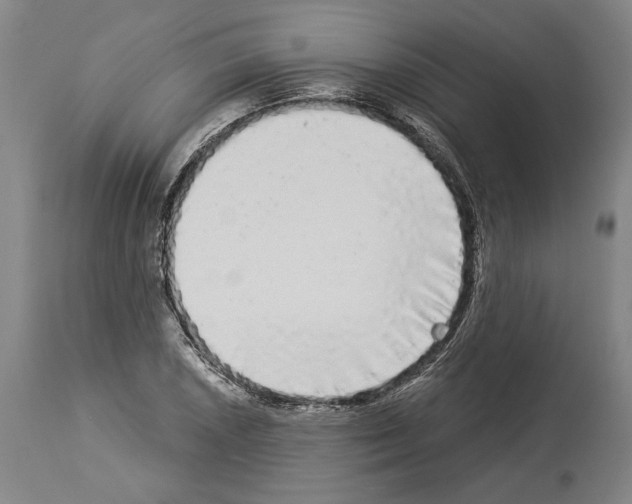 X0000113981026200911131050