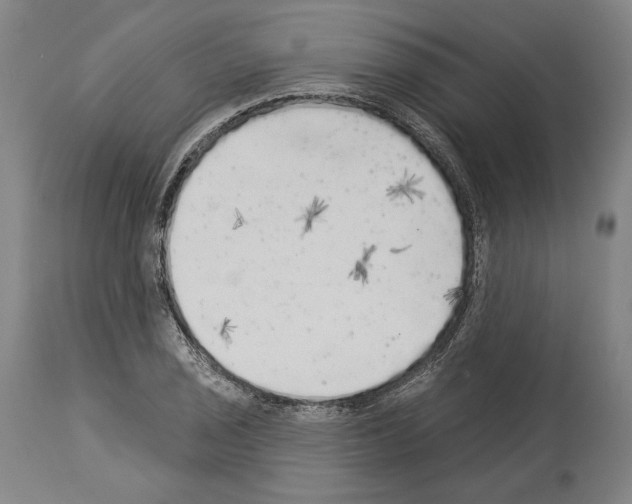X0000113981029200911131050