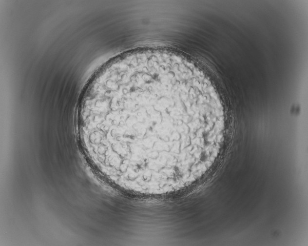 X0000113981030200911131050