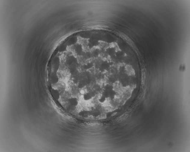 X0000113981031200911131050