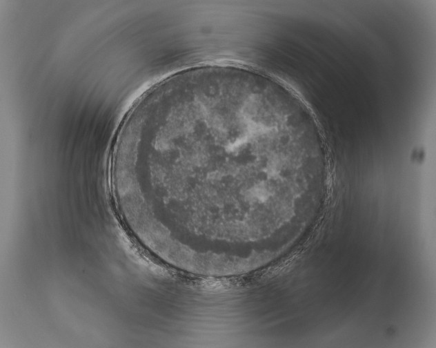 X0000113981032200911131050