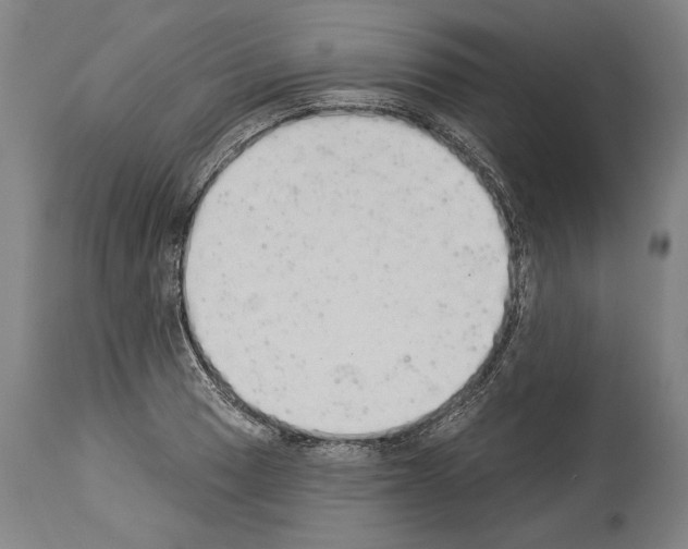 X0000113981033200911131050