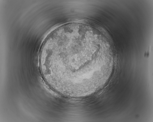 X0000113981036200911131050