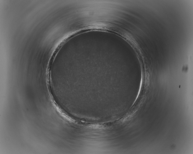 X0000113981037200911131050