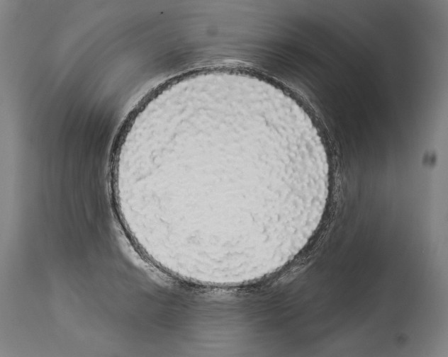 X0000113981038200911131050