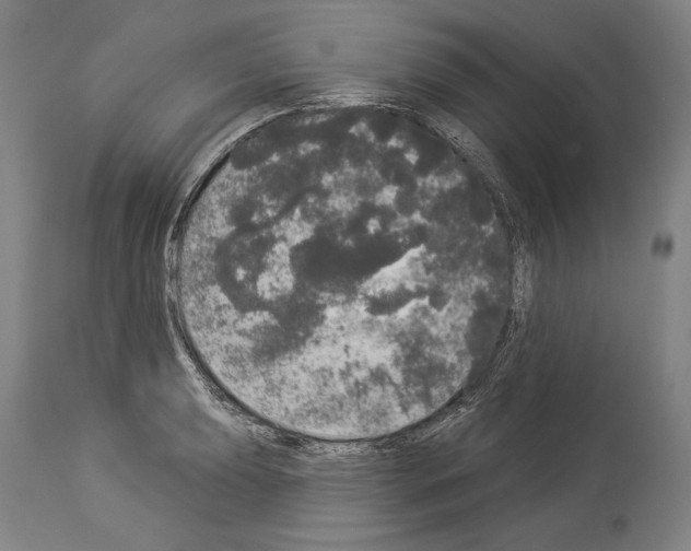 X0000113981039200911131050