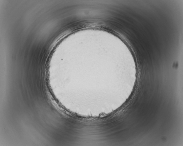 X0000113981042200911131050