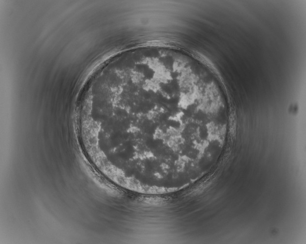 X0000113981043200911131050