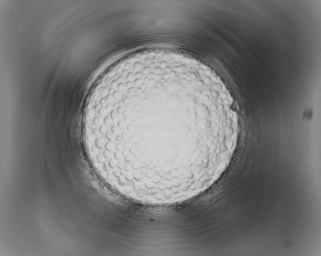 X0000113981044200911131050