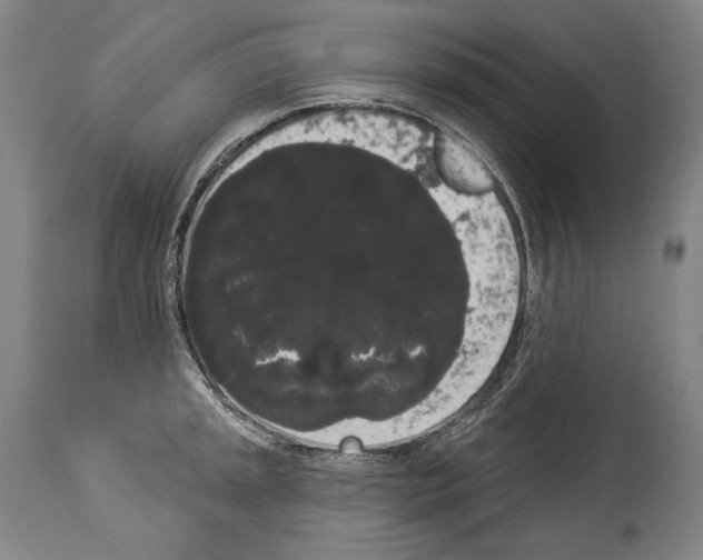 X0000113981045200911131050