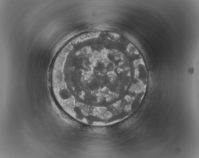 X0000113981047200911131051