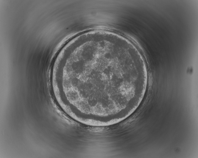 X0000113981048200911131051