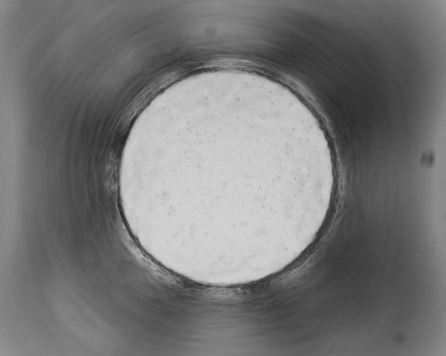 X0000113981049200911131051