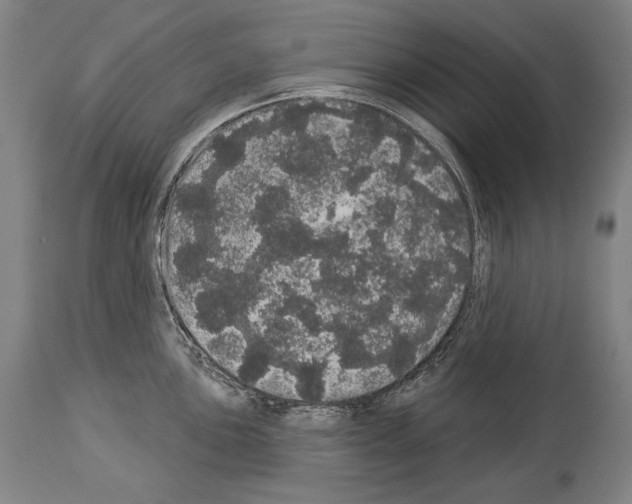 X0000113981051200911131051